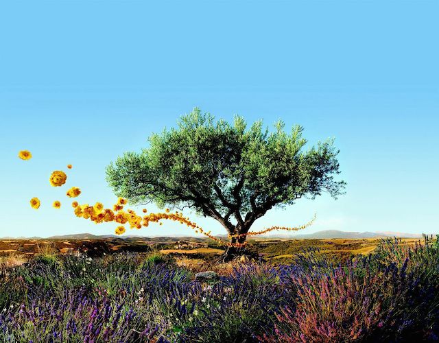 The 7 Best Scented Hand Creams