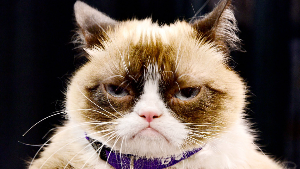 Everyone's Searching for Sasha Obama's Secret Twitter Account