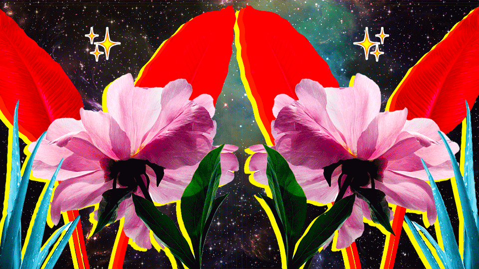 STYLECASTER | Roses Are Red, Violets Are Blue—Uranus Is in Retrograde, HBU?