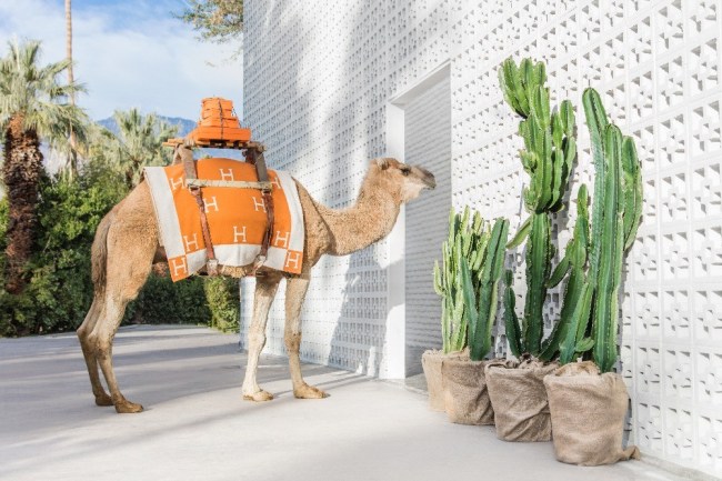 what to buy black friday 2016