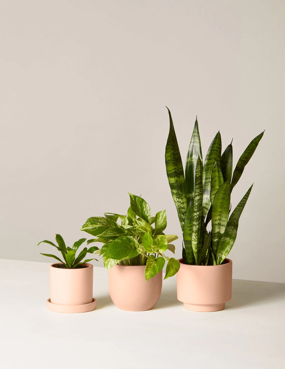 STYLECASTER | Lagom Decor Trend