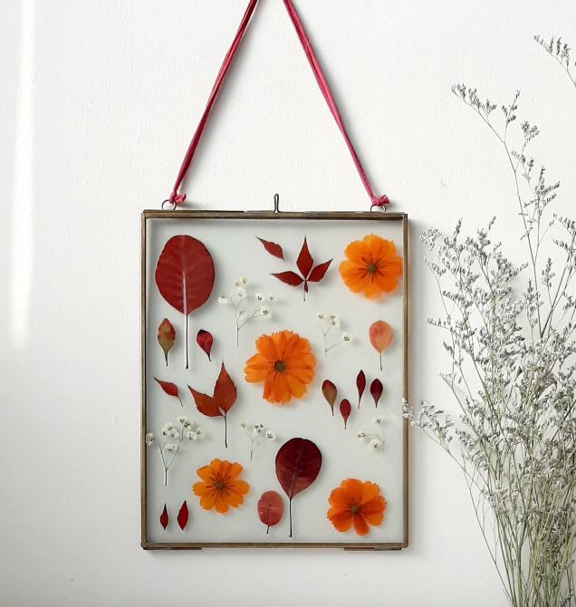 STYLECASTER | framed plants