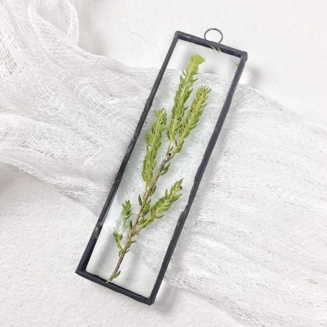 STYLECASTER | framed plants