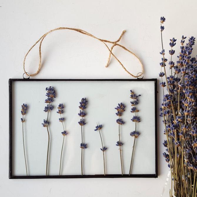 STYLECASTER | framed plants