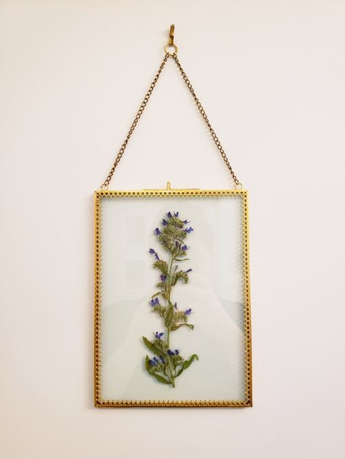 STYLECASTER | framed plants
