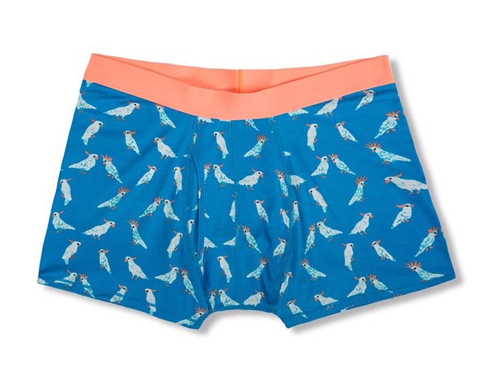 STYLECASTER | 19 Pairs of Cute Boxers to Buy for (and Immediately Steal From) Your BF