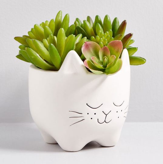 STYLECASTER | Cute Planters
