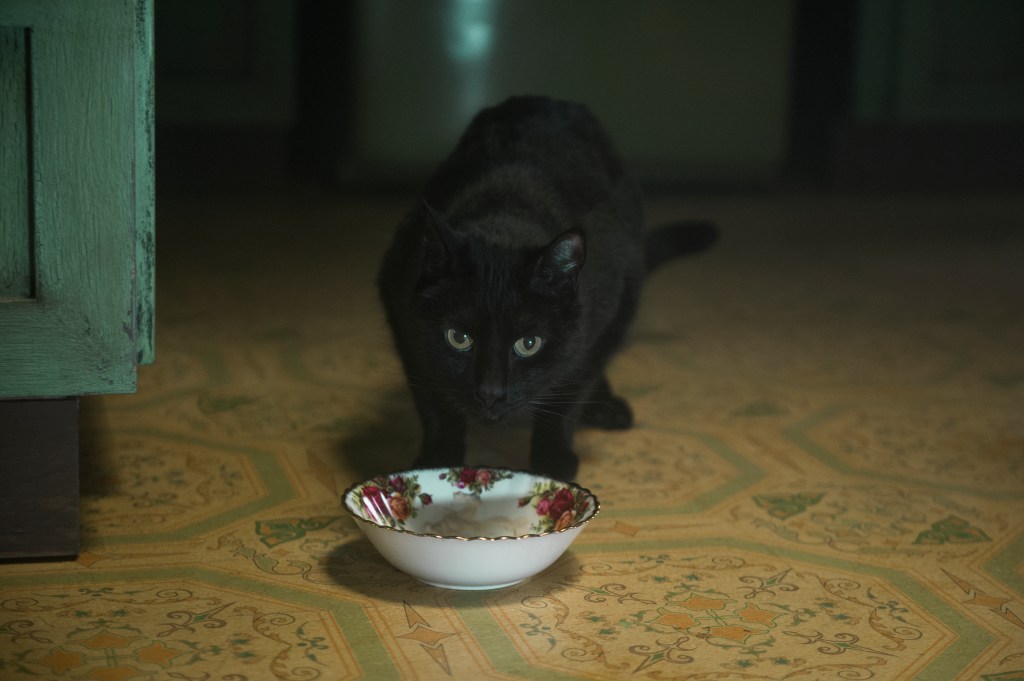 "Chilling Adventures of Sabrina"