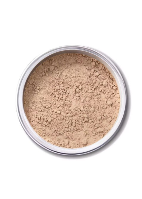 powder-foundations-ex-1