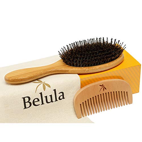 These Under $50 Boar Bristle Brushes Remind us of a Certain $150 Hair Stylist Favorite | STYLECASTER