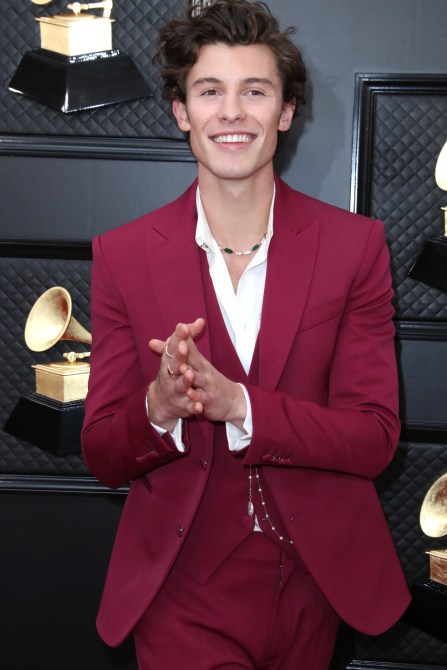 Shawn Mendes Grammys 2020