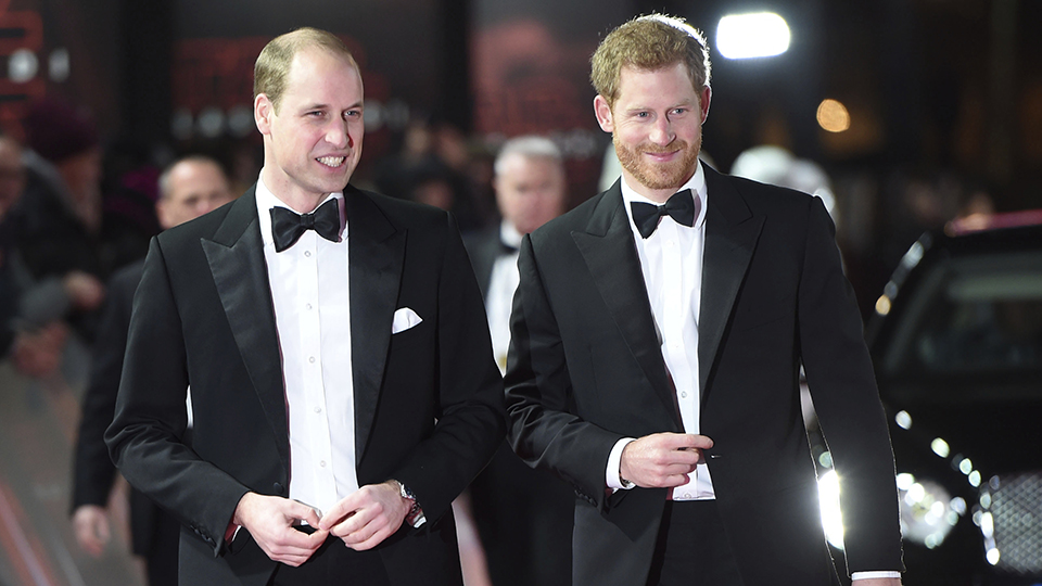Prince William, Prince Harry