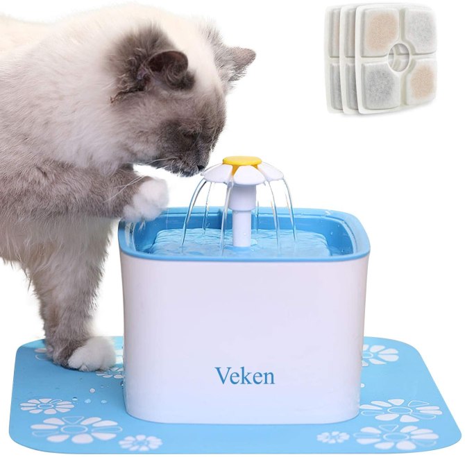 cat water fountain 
