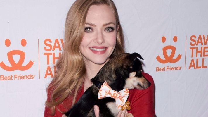 colourpop-furriends-forever-eyeshadow