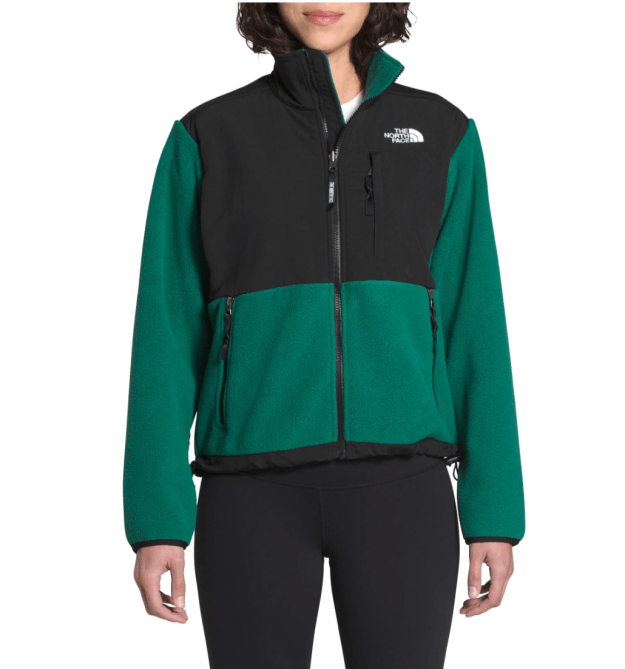 STYLECASTER | Hailey Bieber North Face Vest