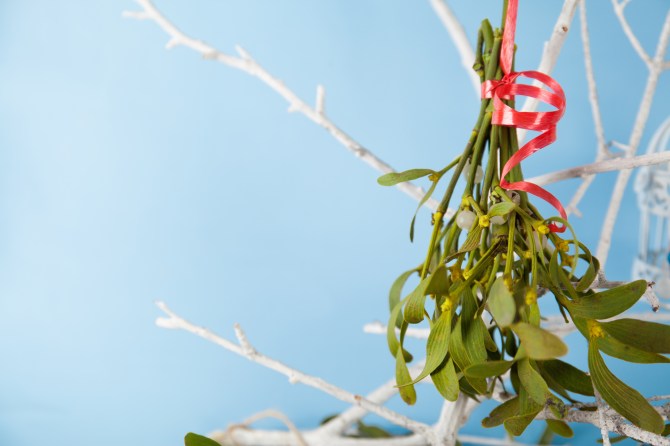 STYLECASTER | Christmas Zoom Backgrounds