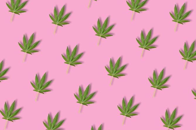 STYLECASTER | 4/20 Zoom Backgrounds