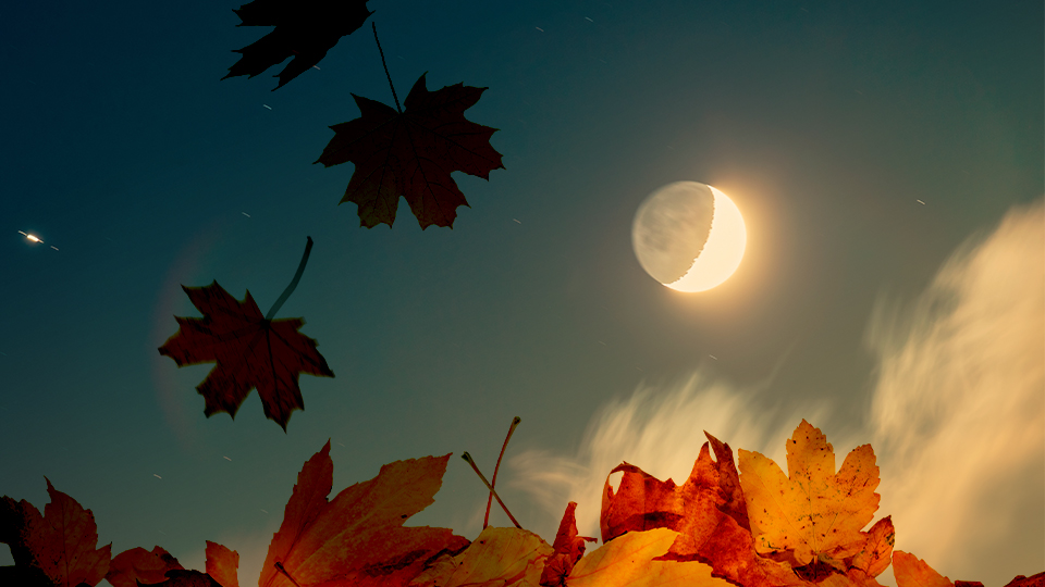 STYLECASTER | Zodiac Signs Fall