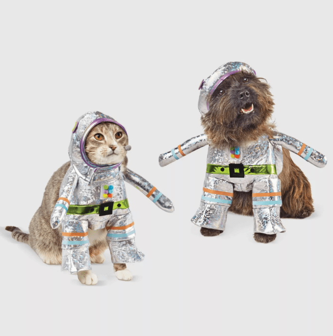 STYLECASTER | Pet Halloween Costumes