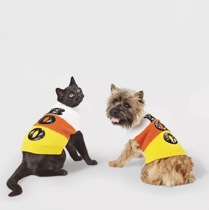 STYLECASTER | Pet Halloween Costumes