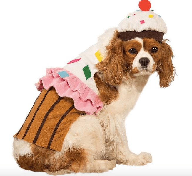 cupcake costume