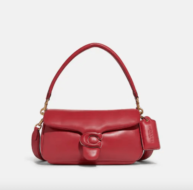 STYLECASTER | Coach Pillow Tabby