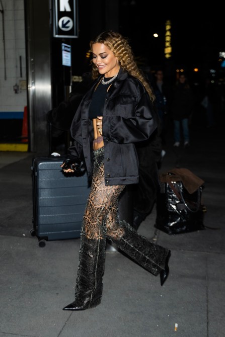 STYLECASTER | Celebrity Sheer Outfits