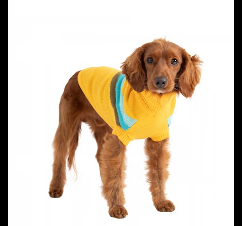 GF Pet Yellow Alpine Dog Sweater Petco