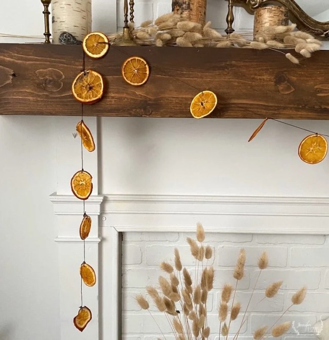 Dried Orange Garland