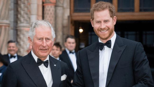 Is Prince Harry Flying Home to See Charles After The King's Cancer Diagnosis?