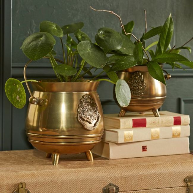 Brass cauldron planters with plants