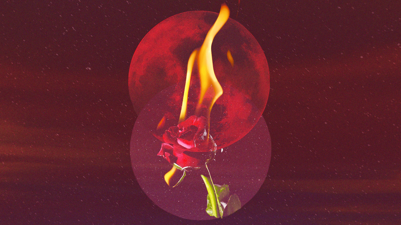 A rose on fire in front of a bright red moon
