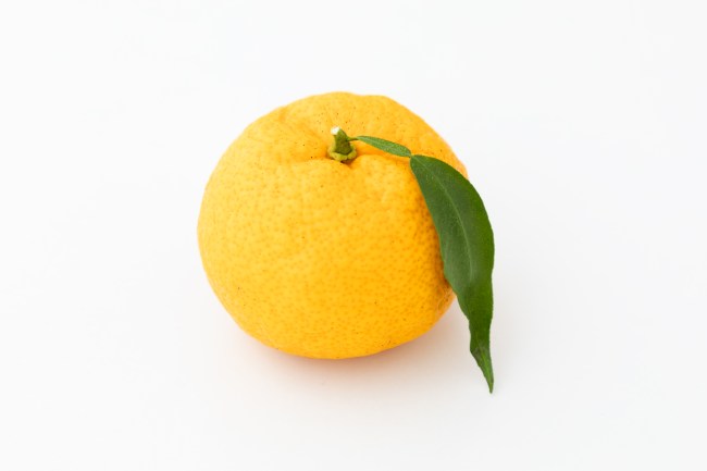 A bright yellow yuzu fruit