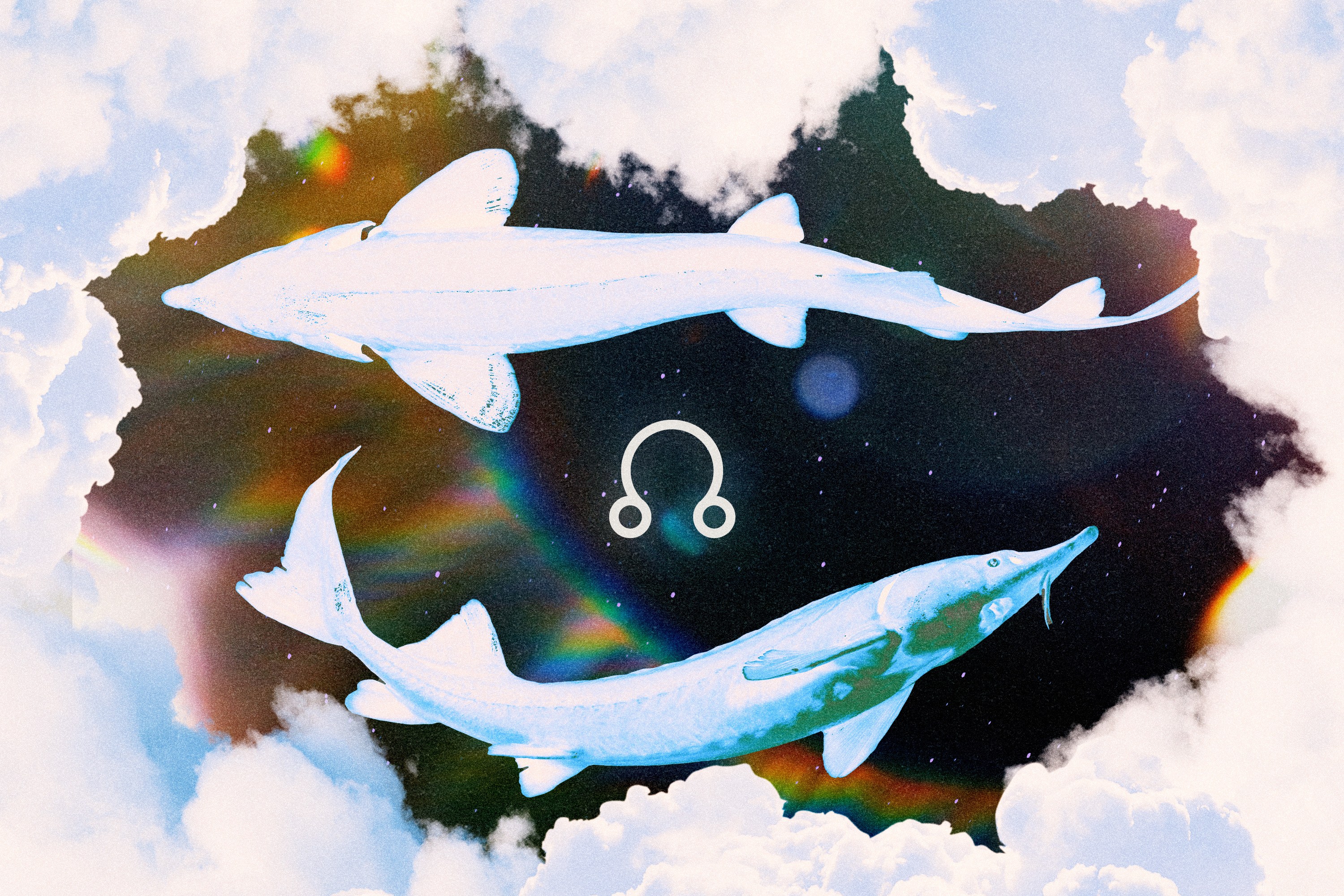 Two sharks swirling around each other over a colorful cosmic sky