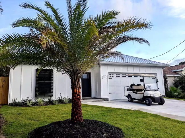 A home with a palm tree in front