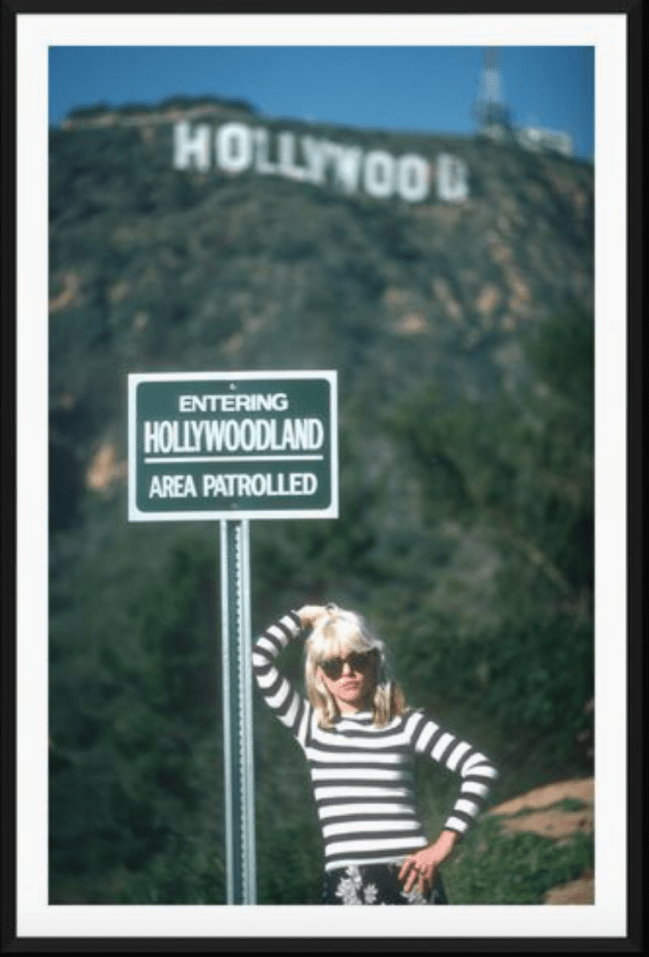Blondie at the Hollywood Sign