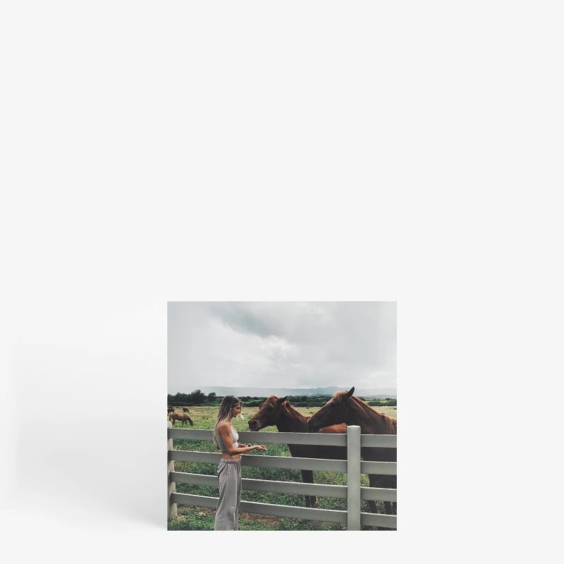 25 Best Affordable Wall Art Brands in 2025