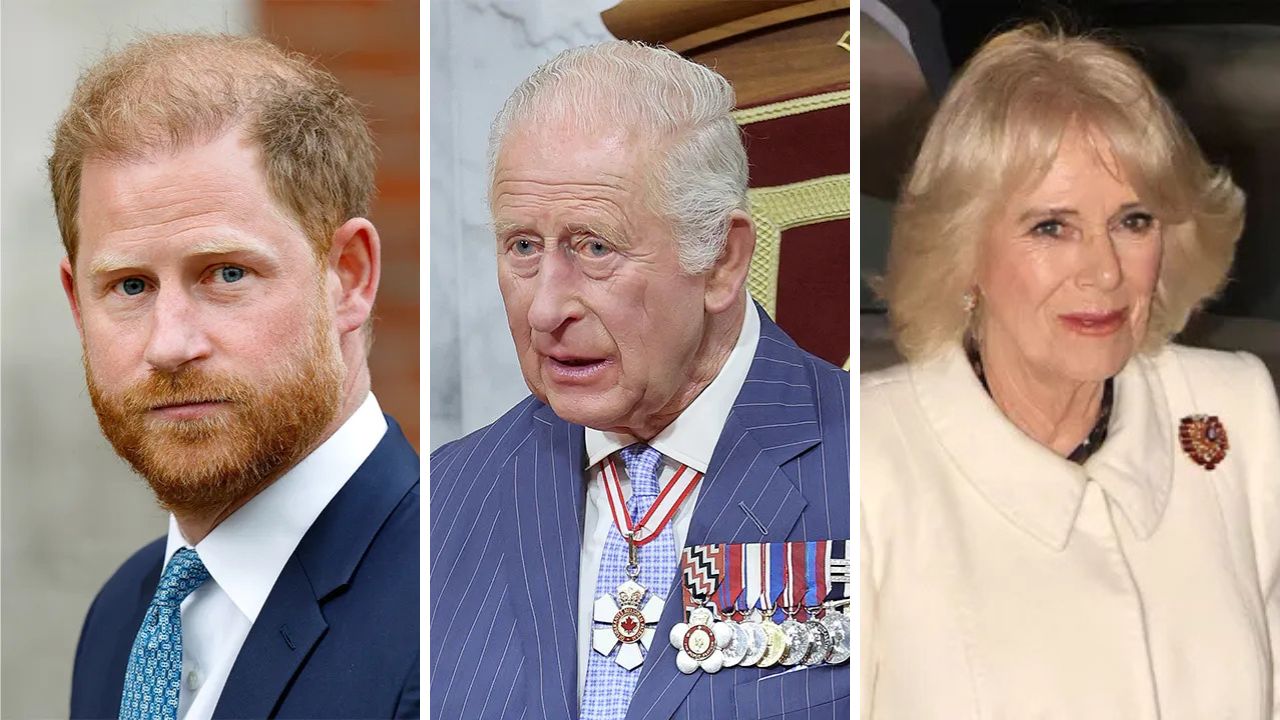 Prince Harry, King Charles, Queen Camilla