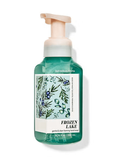 Frozen Lake Gentle & Clean Foaming Hand Soap